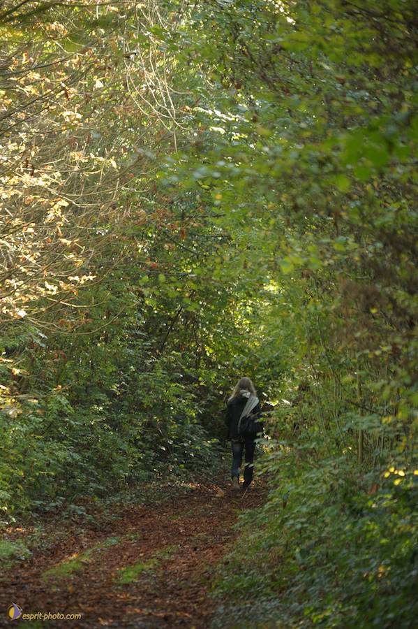 Nom de l'image : D30083162_1_(c)Norbert-JUNG — Description :